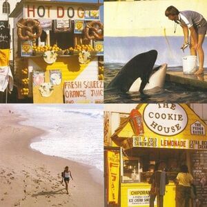 Best Coast - Something in the Way  7-INCH SINGLE